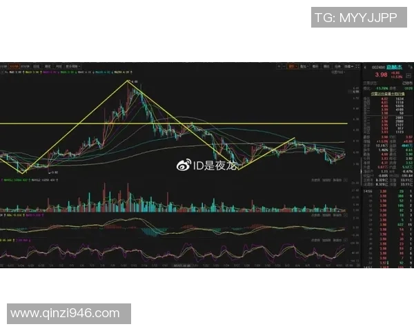 成都飞盘队与上海飞盘队赛后复盘分析团队协作与战术执行的关键因素