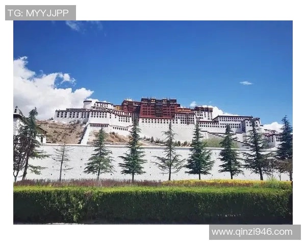 布莱克尼的魅力探秘:从历史遗迹到现代生活的完美融合 布莱克尼的魅力探秘:从历史遗迹到现代生活的完美融合