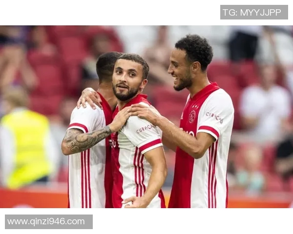 欧冠门票系统故障致数万球迷排队12小时苦等抢票机会