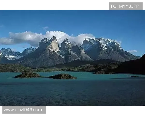 智利与澳大利亚激战正酣赛事回顾与精彩瞬间分析