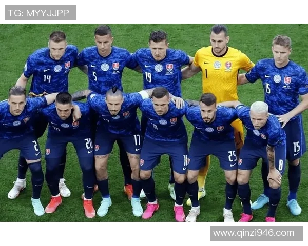 比利时与爱尔兰精彩对决视频回顾及赛后分析